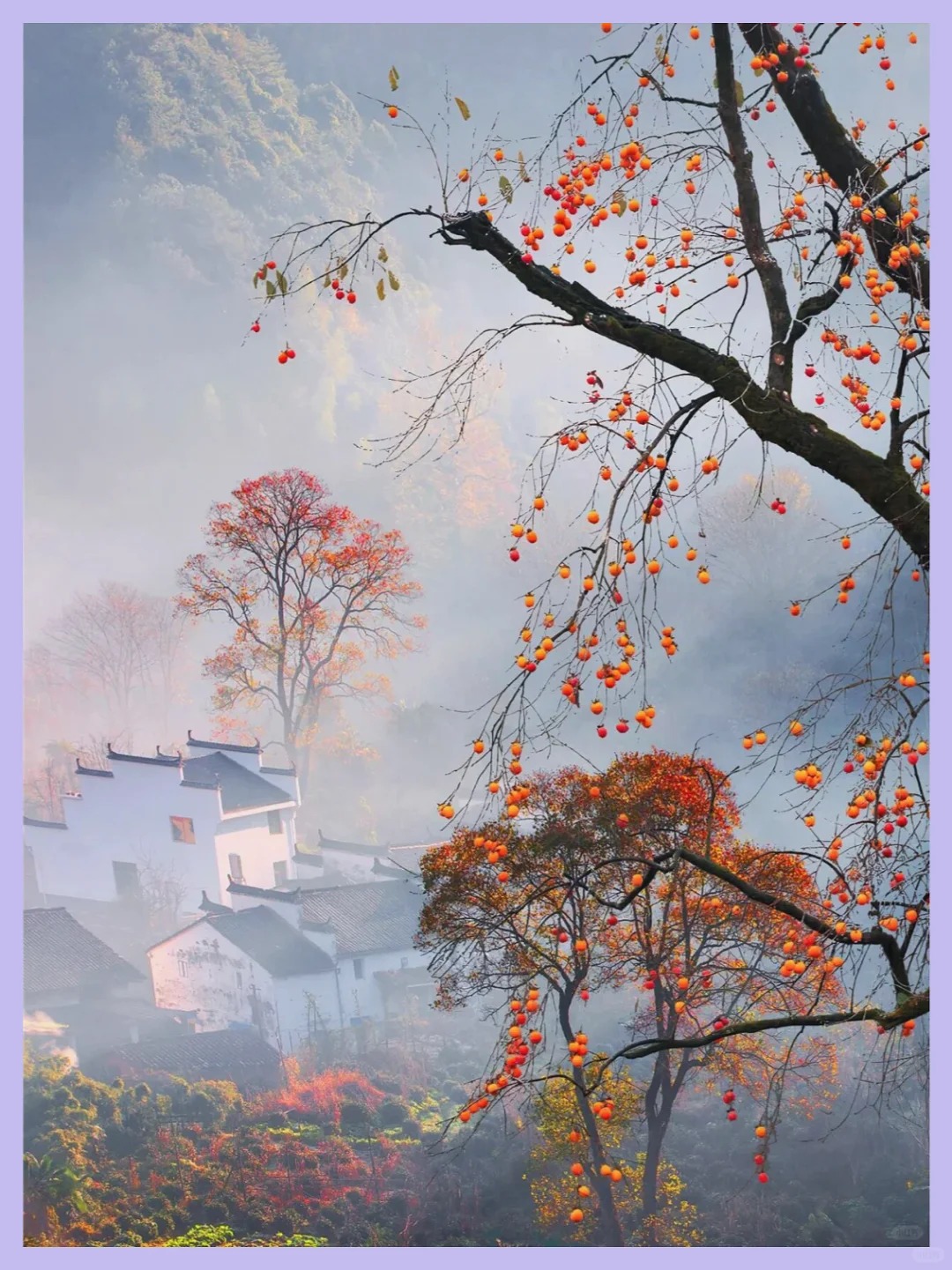 _皖南婺源秋色天花板，11-12月必游！__1_雨后青石板_徽州-赏秋-国庆特辑-来自52tours 我爱旅游网